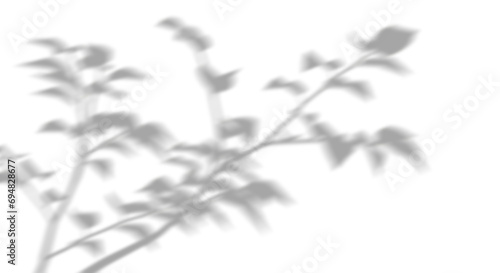 Shadow blurry plants leaves moving cutout transparent backgrounds 3d render png