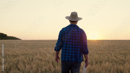 A farmer works with a computer tablet in a wheat field at sunset. Businessman with digital tablet examines the wheat harvest in the wheat field. Senior farmer analyzes the grain harvest. Agricultural