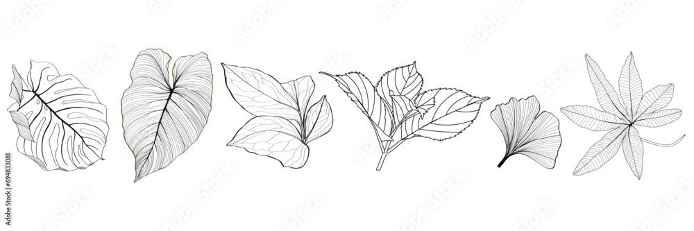Line tropical exotic leaves set illustration. Beautiful natural outline icon or clip art. Exotic tropical jungle plant symbol. Monochrome isolated elegant and feminine element. - obrazy, fototapety, plakaty 