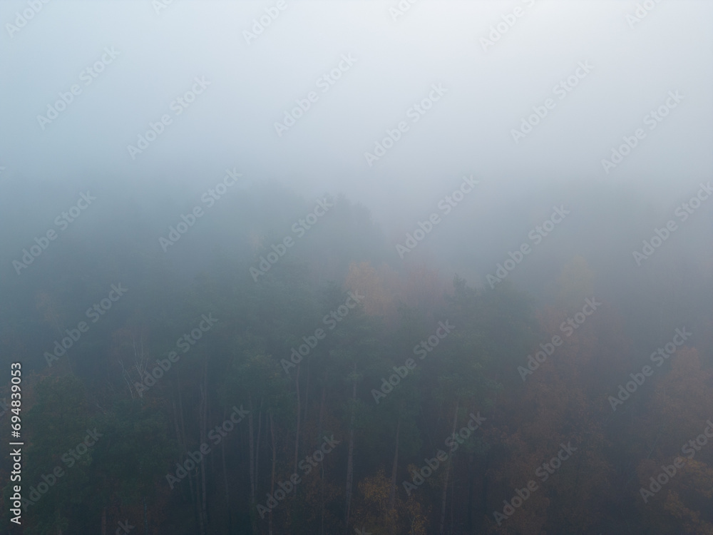 This image provides a birds eye view of an autumnal forest enshrouded in a thick, soft mist. The tops of the trees peek through the haze, with a palette of muted fall colors, from the deep evergreen This image provides a birds eye view of an autumnal forest enshrouded in a thick, soft mist. The tops of the trees peek through the haze, with a palette of muted fall colors, from the deep evergreen