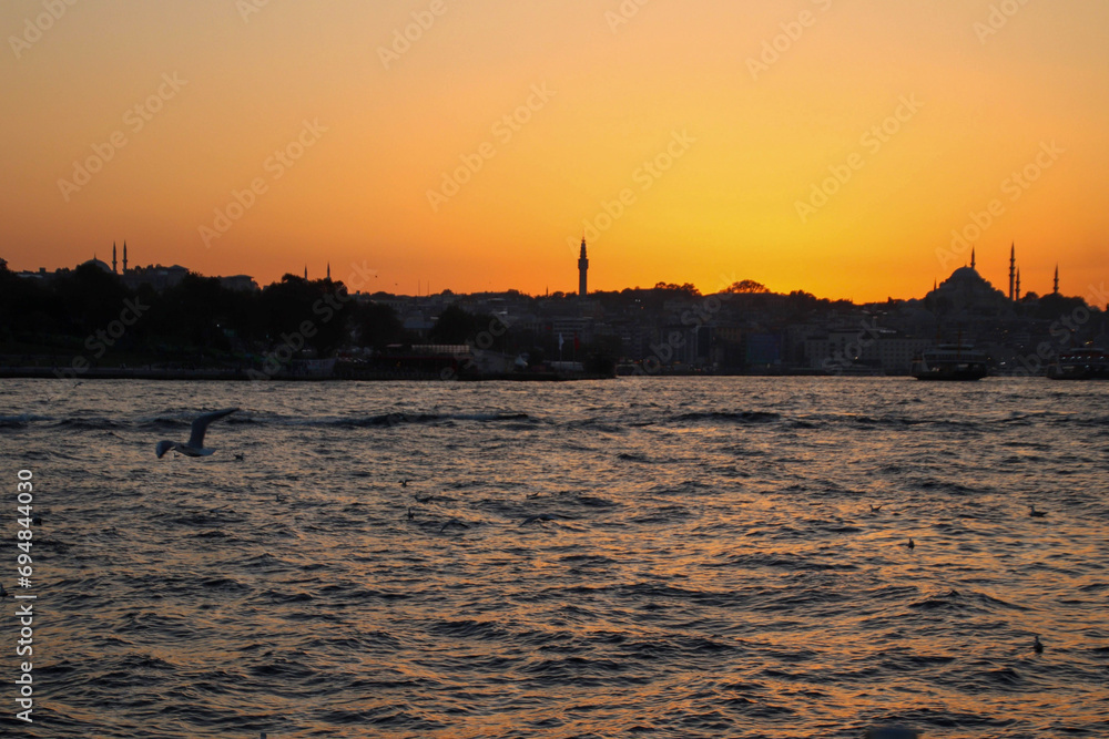 Cruise to Bosphorus, Istanbul