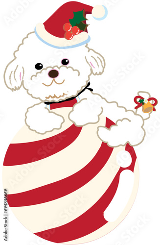 The Cute Christmas Puppies vector set. Christmas Dog Outfits. Cute Poodle wearing Santa hat with Christmas candy ball  for holiday season. Vector illustration. Cartoon style.