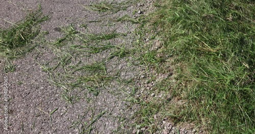 the edge and shoulder of the road are in green mown grass, green grass not removed from the road after mowing grass in summer