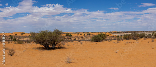 Arid Kalahari Landscape, near Tierkop and Kij Kij in the Kgalagadi Transfrontier Park 