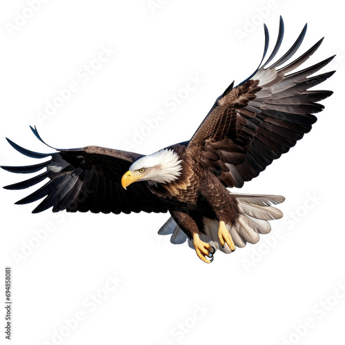 Mature American Bald Eagle, Portrait of wildlife Transparent Background