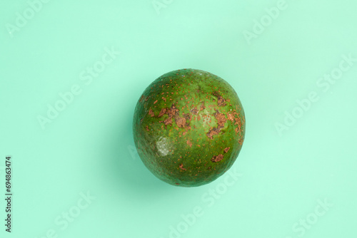 Round Avocado on Teal Background