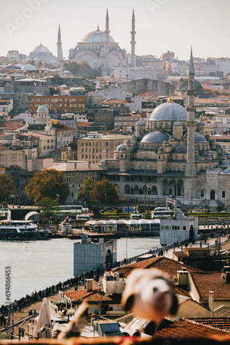 View of the city of Istanbul through flying seagulls. The city is in focus, the seagulls are out of focus. Travelling in Turkey. tourist destinations. postcards of Istanbul. architecture and culture.