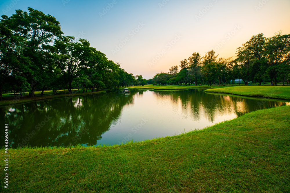 Green park sunset with meadow and tree Green park sunset with meadow and tree