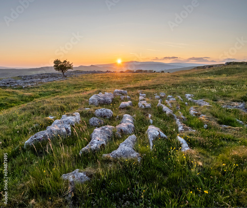 Limestone pavement and lone Hawthorn tree in evening sunlight, Winskill Stones Nature Reserve, Stainforth, Yorkshire Dales National Park, Yorkshire, England photo