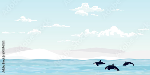 Killer whale pack swimming in the sea vector illustration. Orca in arctic ocean flat design.