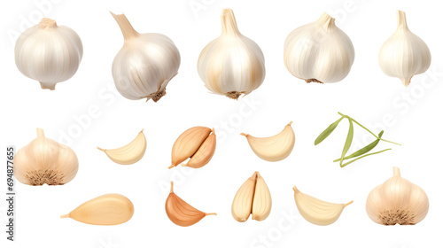 Isolated garlic. Collection of different fresh and dry garlic heads and segments isolated on white background photo