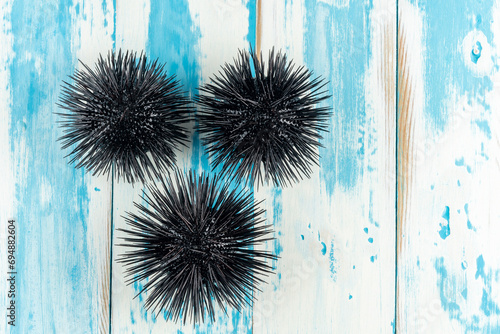 View of sea urchins on wooden background. photo