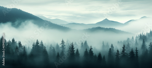 Fog mist clouds over forest mountains scenery landscape photo