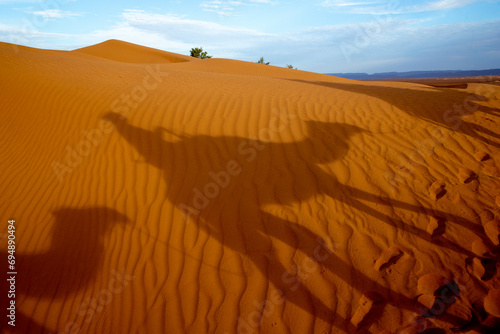 Dromedary trek in Eastern Morocco, North Africa photo