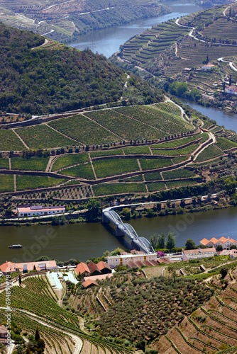 Vineyards in Douro valley in the heart of Alto Douro Wine Region, Pinhao, Portugal photo