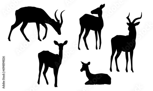 Set of silhouettes of Kob antelopes. Males with horns and females of Kobus kob thomasi. Mammals of Central Africa. Vector illustration set.