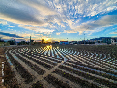 Obraz na płótnie Vega Baja del Segura - Orihuela - Huerta en el entorno de Orihuela w salonie