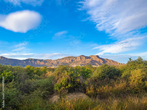 Vega Baja del Segura - Orihuela - Huerta en el entorno de Orihuela