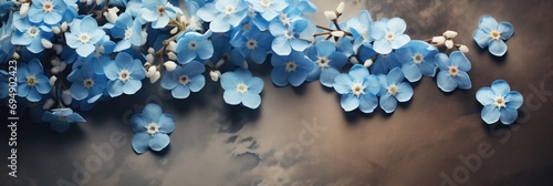 Delicate Cluster of Forget Me Nots on Parchment – Serene Blue and Vintage Parchment Tones for Valentines Day Concept Background photo