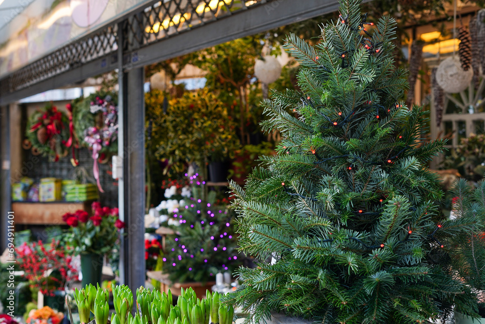 Beautiful green Christmas tree in a flower shop, winter shop with plants and cute souvenirs