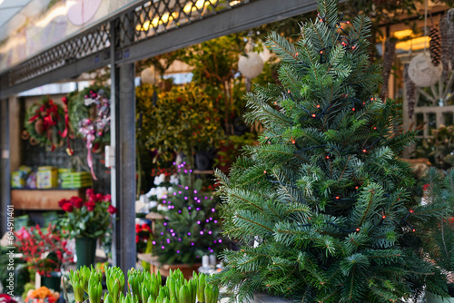 Beautiful green Christmas tree in a flower shop, winter shop with plants and cute souvenirs