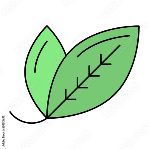 Bay laurel leaves Concept,  Fresh Lauraceae vector outline icon design, Condiments and Spices symbol, Food cooking ingredients Sign, Herbs and table sauce stock illustration