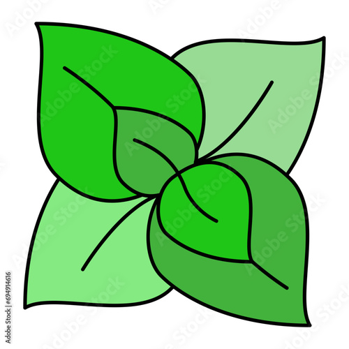 Garden Fresh basil leaves Concept  Organic Lemon basil vector outline icon design, Condiments and Spices symbol, Food cooking ingredients Sign, Herbs and table sauce stock illustration