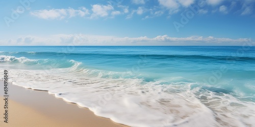 Sweeping beach and waves in the background  serene coastline.