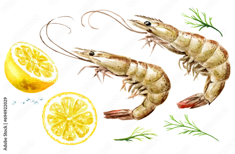 Fresh shrimps with lemon and dill set, seafood. Hand drawn watercolor illustration, isolated on white background - obrazy, fototapety, plakaty 