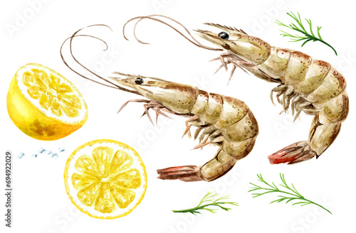 Fresh shrimps with lemon and dill set, seafood. Hand drawn watercolor illustration, isolated on white background