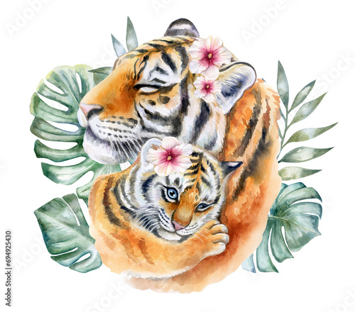 Tigers. Mum with a baby isolated on a white background. Tiger cub. Tigress mum washes a baby. Watercolor. Illustration  template. Close-up. Clipart. Mothers Day. Greeting card design. 