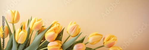 Pastel Hued Background with Yellow Tulip Arrangement for a Soft Valentines Day Theme