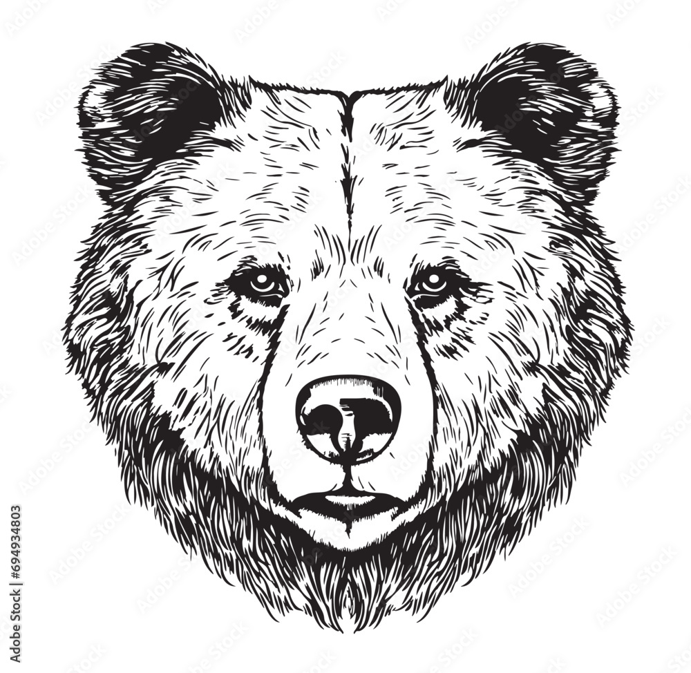 Cute animal bear face hand drawn sketch in doodle style illustration