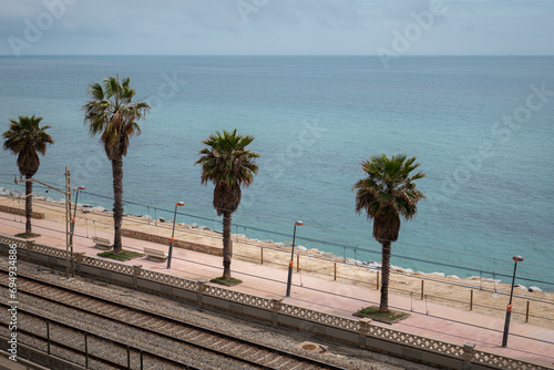 Tram railway and palms on sea waterfront in Vilassar de Mar photo