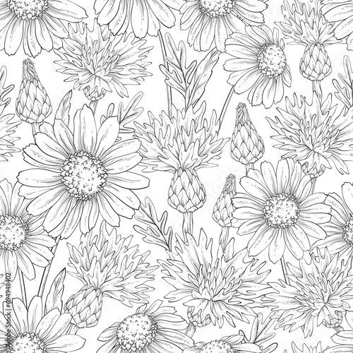 Outline pattern with cornflowers and daisies
