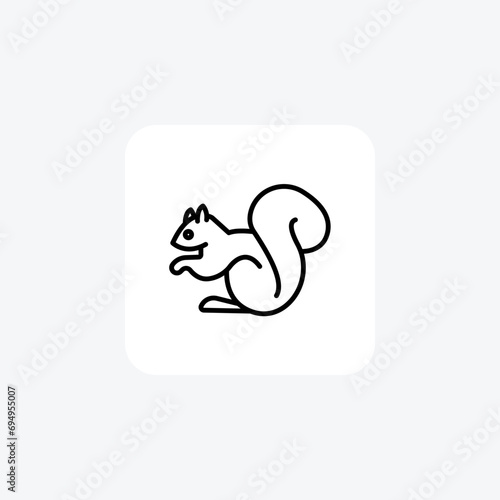 Squirrel vector line icon, outline icon, pixel perfect icon