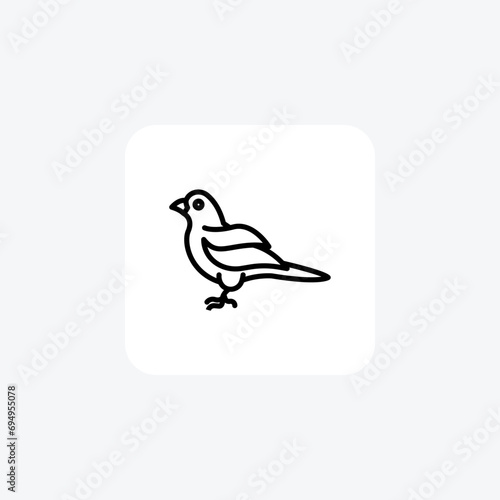 Canary vector line icon, outline icon, pixel perfect icon