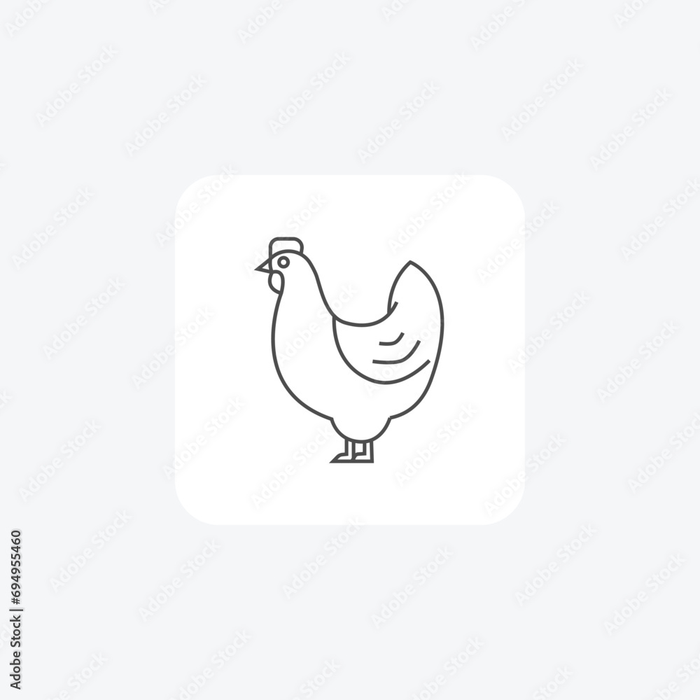 Rooster thin line vector icon, outline icon, pixel perfect icon Rooster thin line vector icon, outline icon, pixel perfect icon