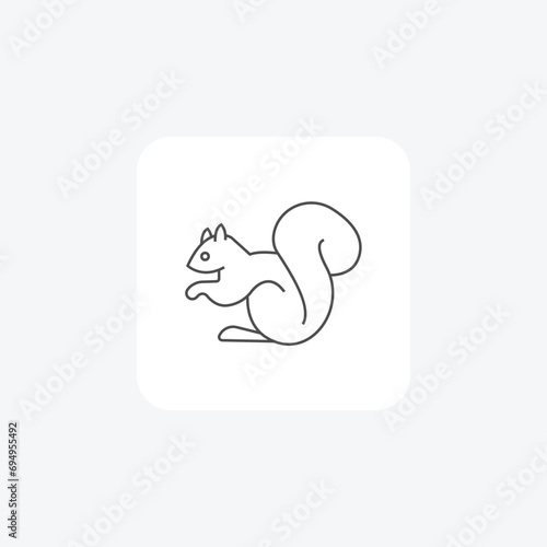 Squirrel thin line vector icon, outline icon, pixel perfect icon