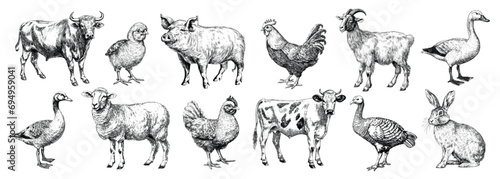 Animals meet types ink illustrations set, hand drawn illustrations of cow, chicken, pig, sheep, goat and duck. Domestic farm animals isolated on white background, vector illustrations © Favebrush