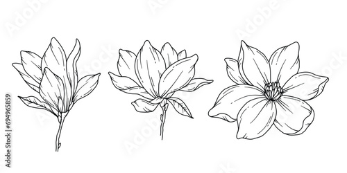 Magnolia Line Drawing. Black and white Floral Bouquets. Flower Coloring Page. Floral Line Art. Fine Line Magnolia  illustration. Hand Drawn flowers. Botanical Coloring. Wedding invitation flowers