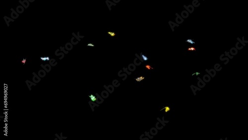 Beautiful Colored Butterflies Flying in the frame. Seamless loop with Alpha Channel, 25 FPS.