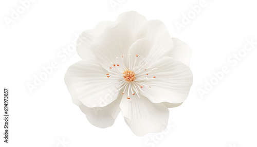 white flower gift box with ribbon isolated on transparent background cutout © Papugrat