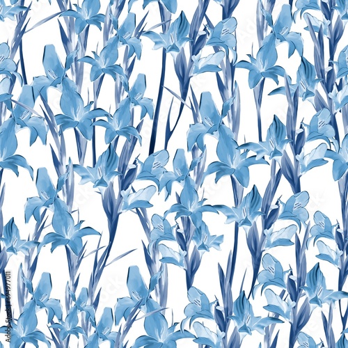 Blue and white lilies on a white background