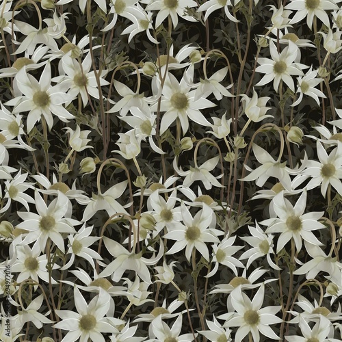 Dried field daisies on a dark green background
