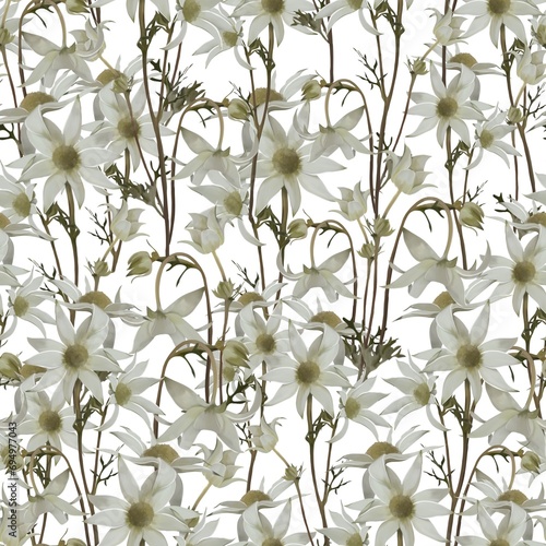 White dried flowers