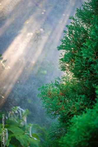 Experience the beauty of summer through stunning nature imagery Immerse yourself in the refreshing sensation of rain on green leaves Connect with the tranquility and serenity of nature during