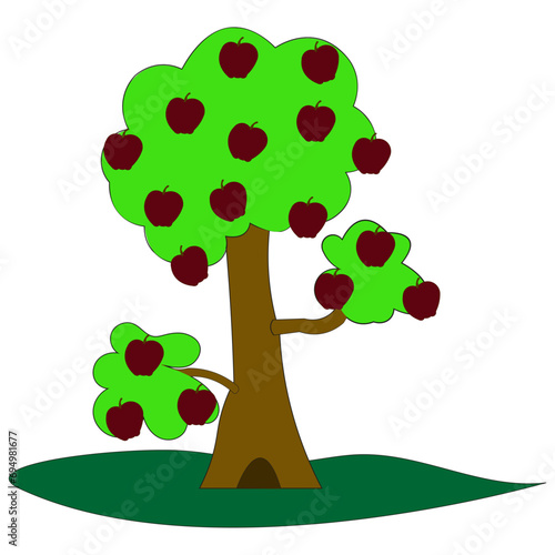 There is one apple tree and there are three areas on it where beautiful apples grow. The tree can be used as a graphic resource.