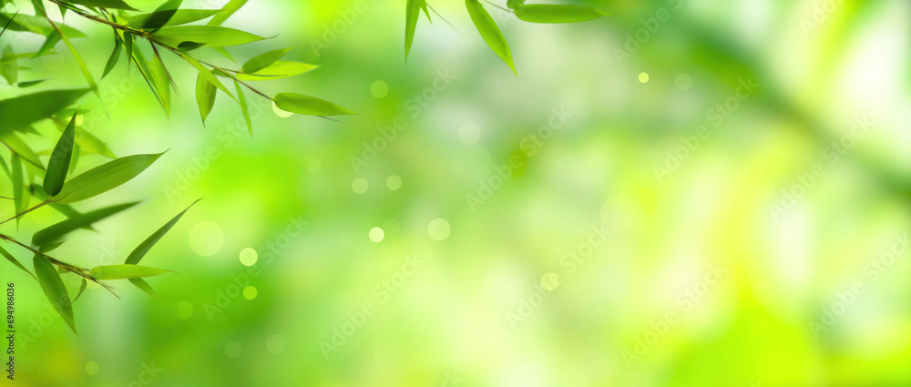 frame of fresh green bamboo leaves isolated on blurred abstract sunny background banner, nature scene with asian spirit and copy space frame of fresh green bamboo leaves isolated on blurred abstract sunny background banner, nature scene with asian spirit and copy space