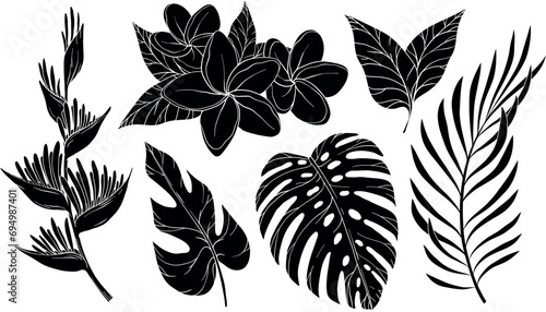 Silhouettes Palm , monstera, heliconia Frangipani